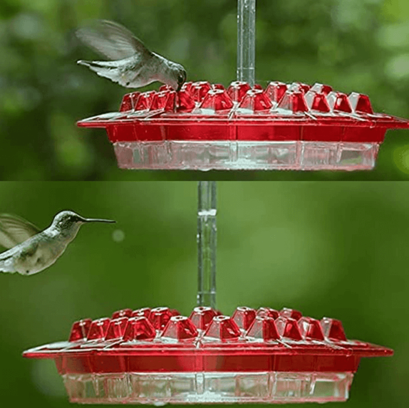 Squirrel Resistant Hummingbird Feeder Hanging Garden Hook
