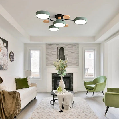 Sleek LED Ceiling Fixture Home Lighting