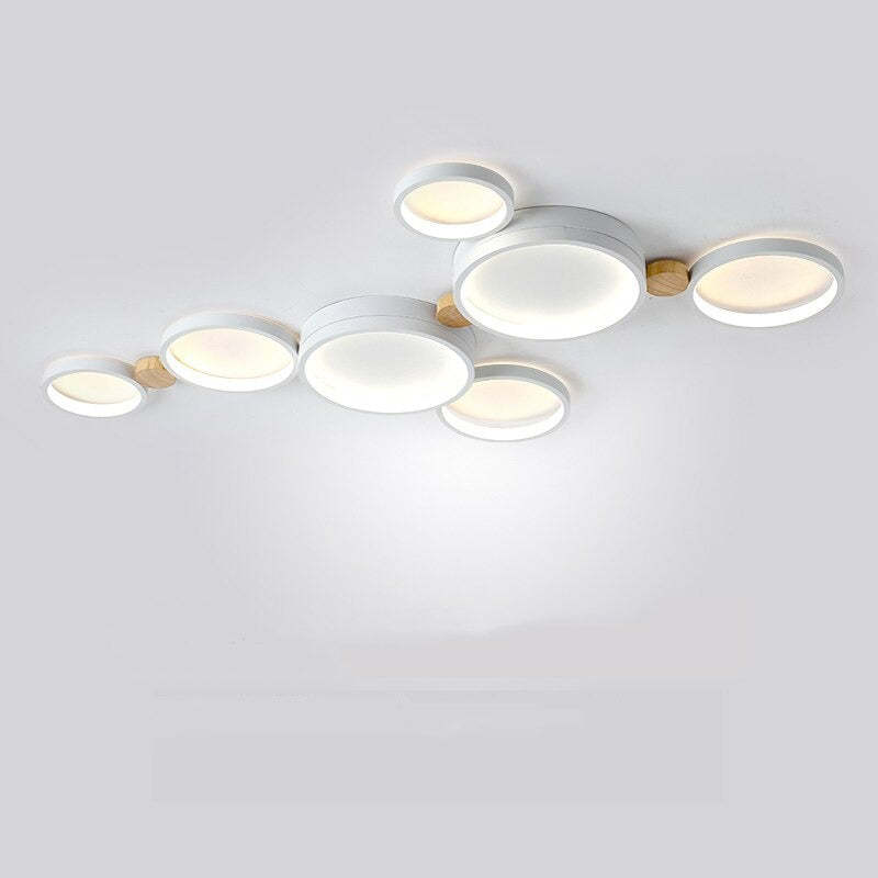 Stylish Modern Ceiling Lamp