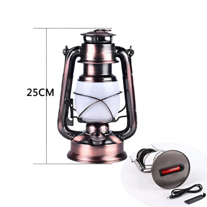 Modern LED Pendant Light for Home & Outdoor