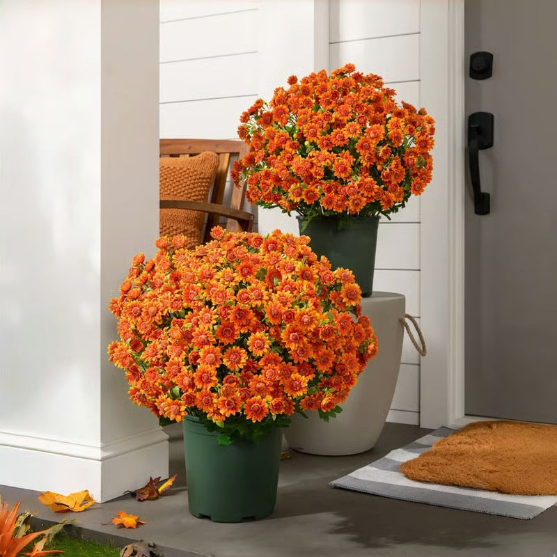 Vibrant Fall Garden Decoration
