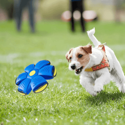 Fun Dog Training Harness
