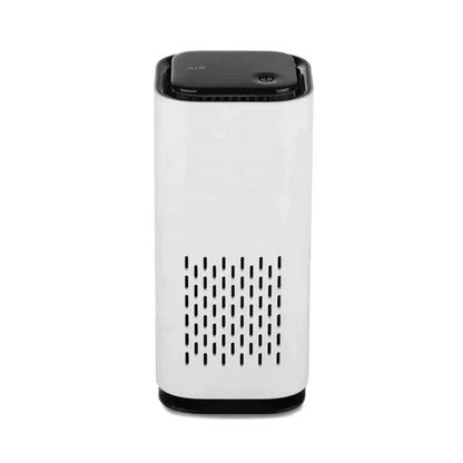 Effective Pet Odour Remover for Fresh Homes