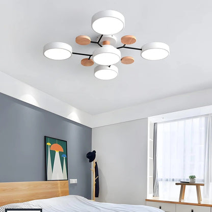 Sleek LED Ceiling Fixture Home Lighting