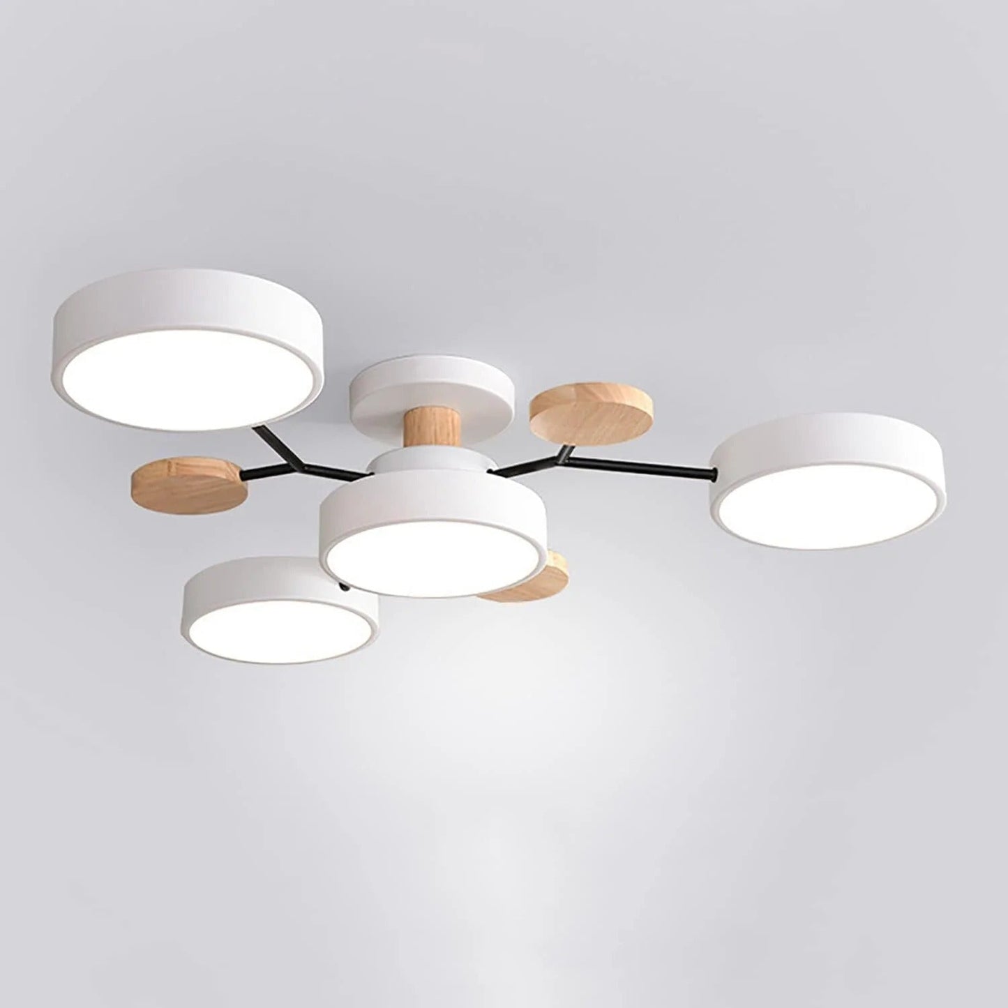 Sleek LED Ceiling Fixture Home Lighting