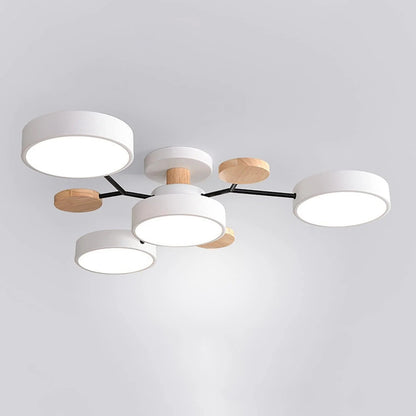 Sleek LED Ceiling Fixture Home Lighting