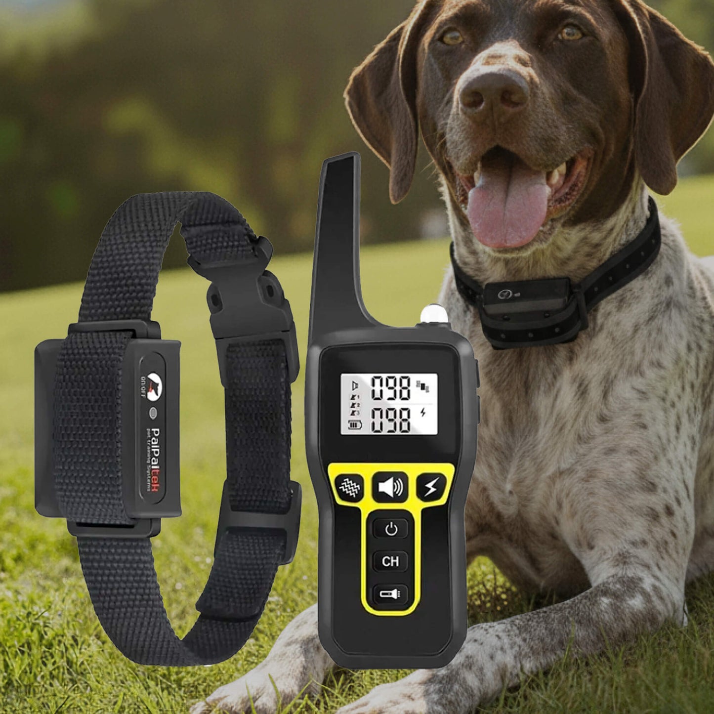 Waterproof Remote Dog Training Collar with 3 Functions