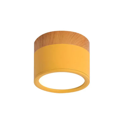 Simple Modern LED Ceiling Lamp