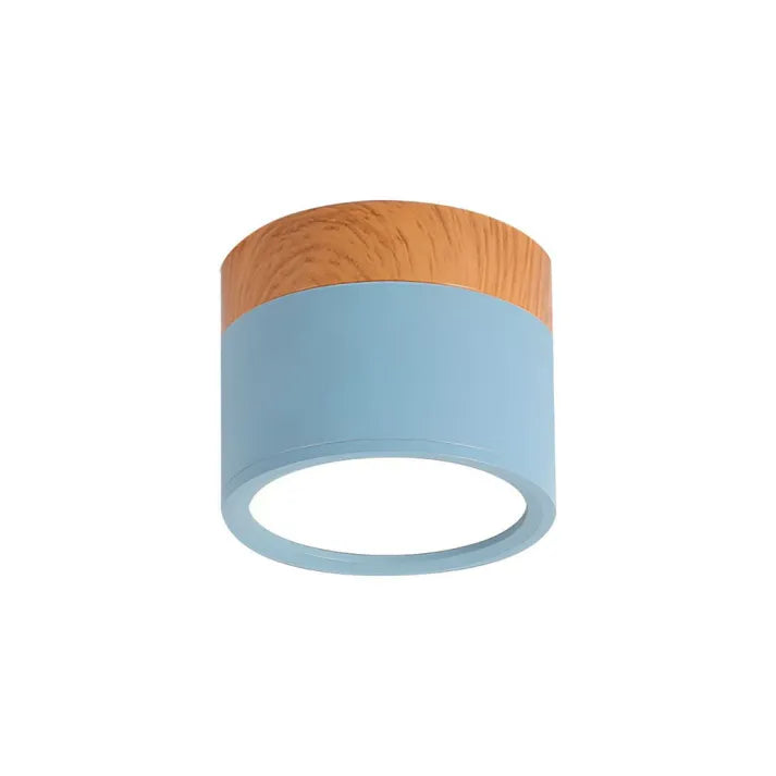 Simple Modern LED Ceiling Lamp
