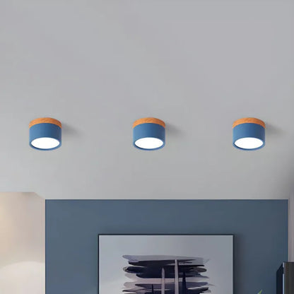 Simple Modern LED Ceiling Lamp