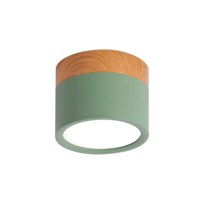 Simple Modern LED Ceiling Lamp
