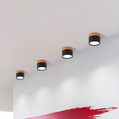 Simple Modern LED Ceiling Lamp