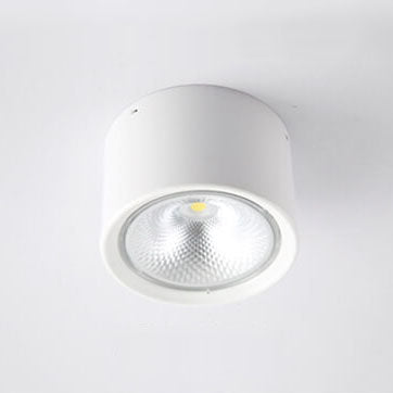 Sleek Round LED Ceiling Fixtures Light - Fesara