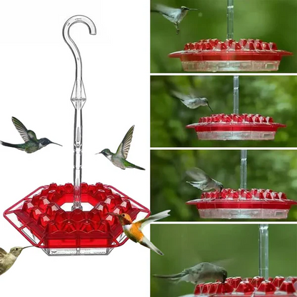 Fesara | Pest-Proof Bird Feeder with 30 Bug-Resistant Holes - Fesara