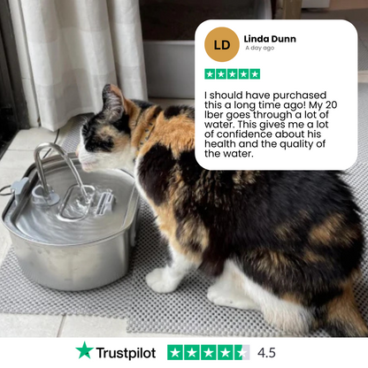 Pet Stainless Steel Water Fountain with Flowing Stream