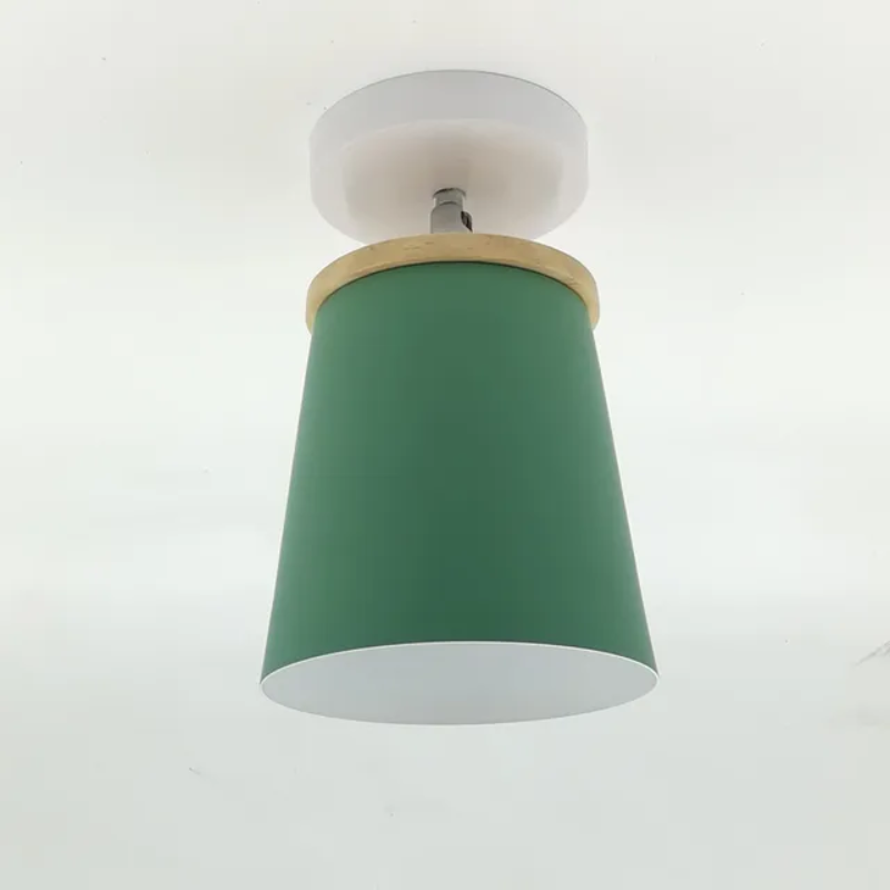 Elegant Glass Pendant Light