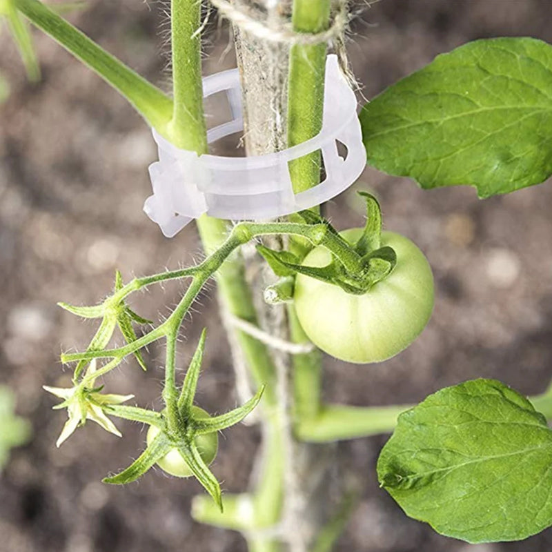 Easy Plant Holder Clip