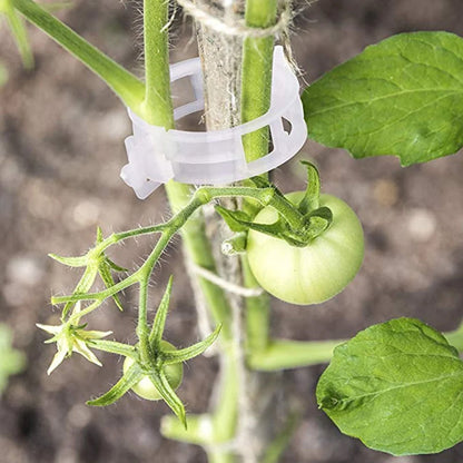 Easy Plant Holder Clip