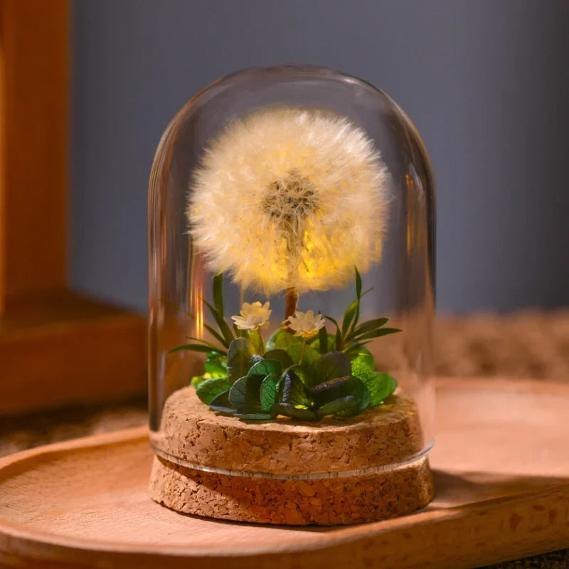 Soft Glow Bedroom Night Light - Fesara