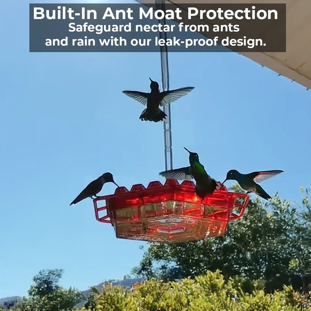 Fesara | Pest-Proof Bird Feeder with 30 Bug-Resistant Holes