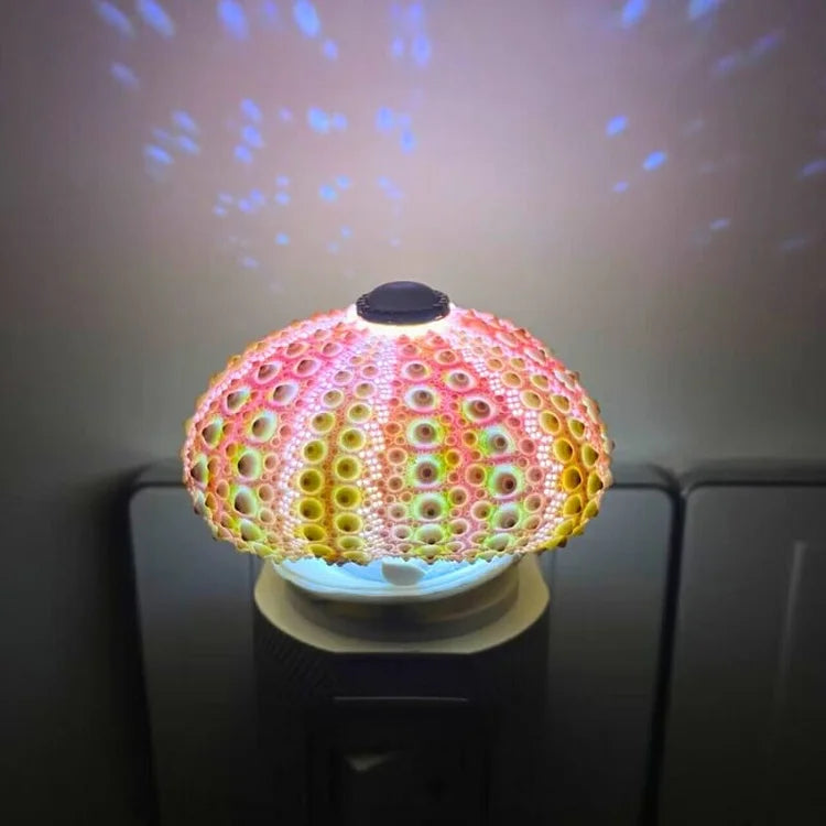 Rustic Coastal Table Lamp with Real Sea Shell Shade