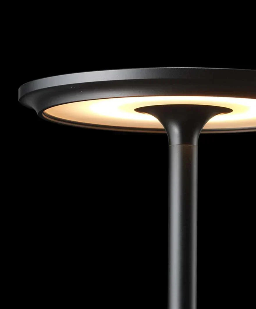 Stylish Gold Metal Desk Lamp with USB Recharge
