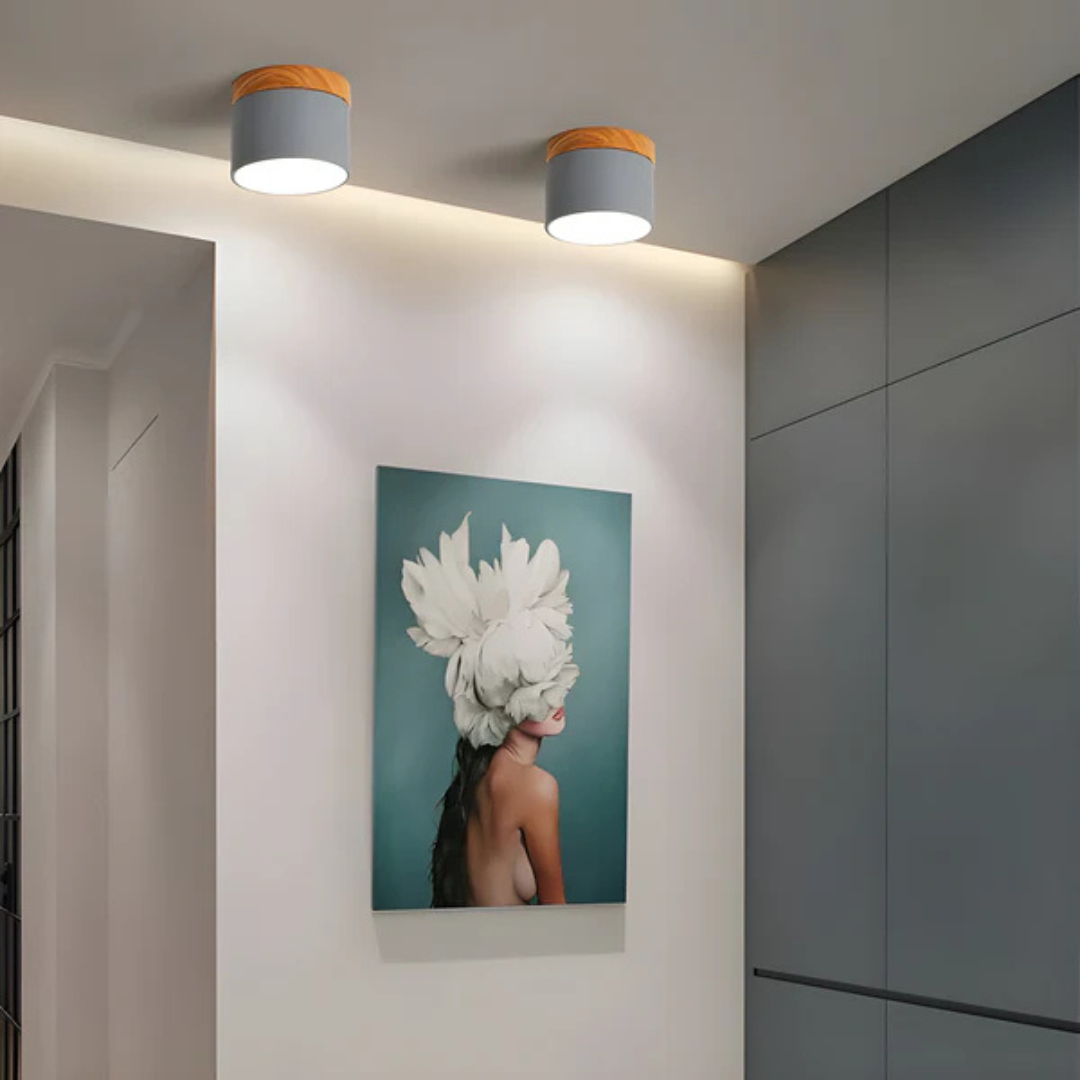 Retro Style LED Ceiling Light - Fesara
