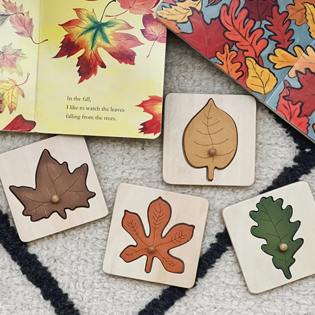 Natural Wooden Leaf Shape Sorting Puzzle