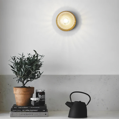 Elegant LED Ceiling and Wall Light Fixture