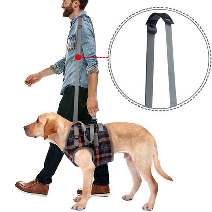 Comfortable Dog Support Harness for Back Legs