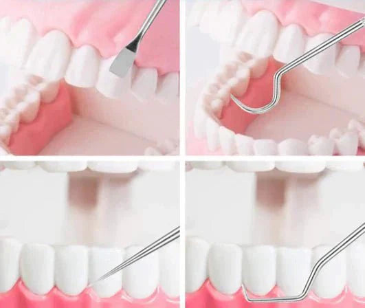 Eco Friendly Dental Care Kit with Durable Steel Tools
