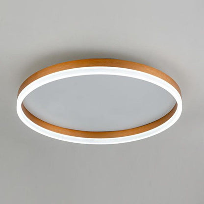 Modern Slim LED Ceiling Light