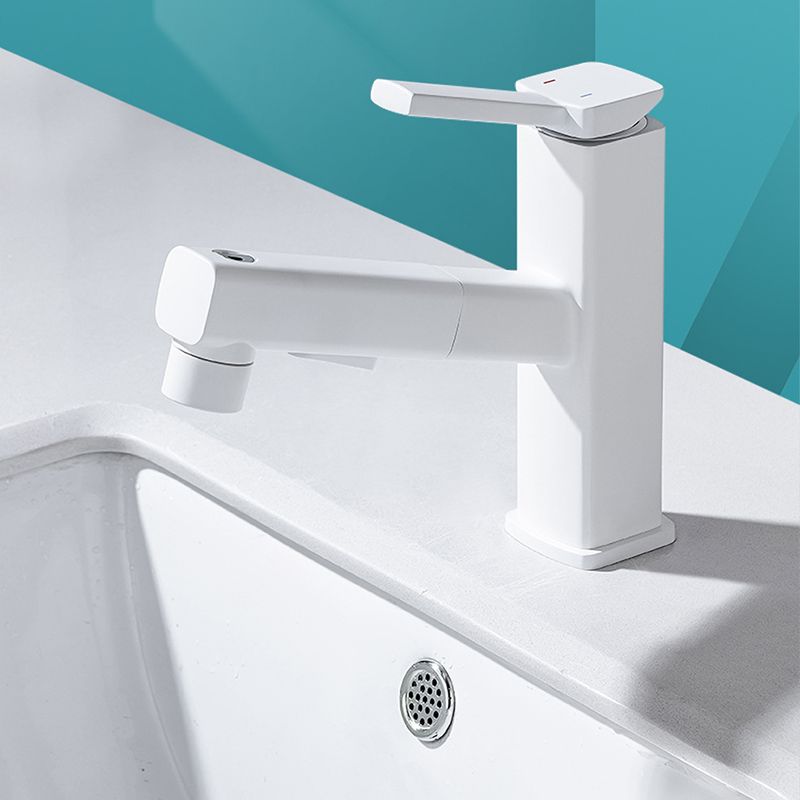 Fesara | Single Handle Pullout Kitchen Sink Faucet with Rotating Nozzle