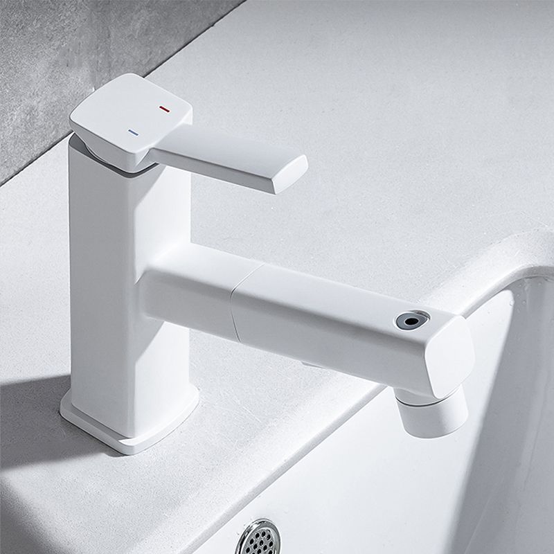 Fesara | Single Handle Pullout Kitchen Sink Faucet with Rotating Nozzle