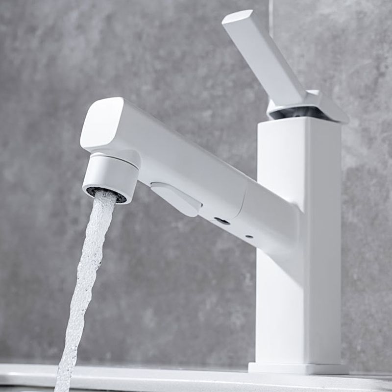 Fesara | Single Handle Pullout Kitchen Sink Faucet with Rotating Nozzle