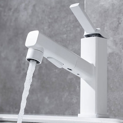 Fesara | Single Handle Pullout Kitchen Sink Faucet with Rotating Nozzle