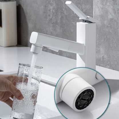 Fesara | Single Handle Pullout Kitchen Sink Faucet with Rotating Nozzle