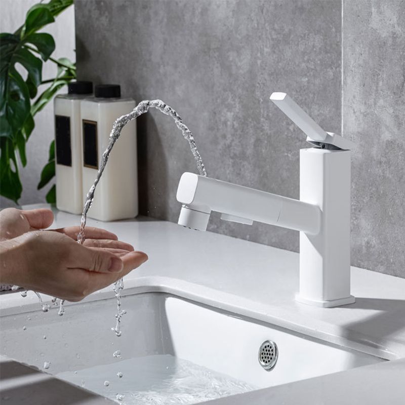 Fesara | Single Handle Pullout Kitchen Sink Faucet with Rotating Nozzle