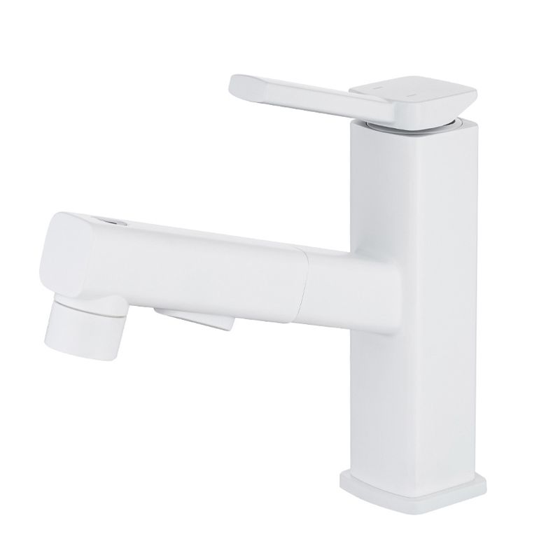 Fesara | Single Handle Pullout Kitchen Sink Faucet with Rotating Nozzle