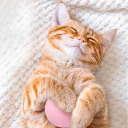 Interactive Electronic Cat Ball Toy