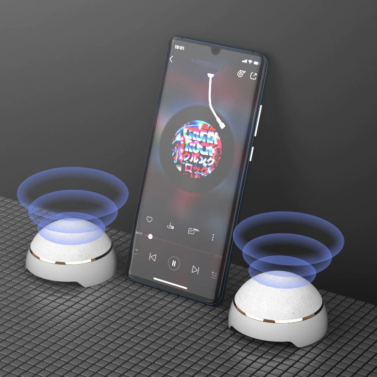 Portable 2 in 1 Wireless Bluetooth Speaker