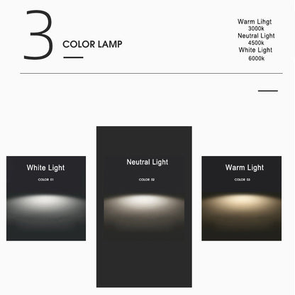 Slim LED Wall Light | Modern Iron Fixture | Adjustable Brightness