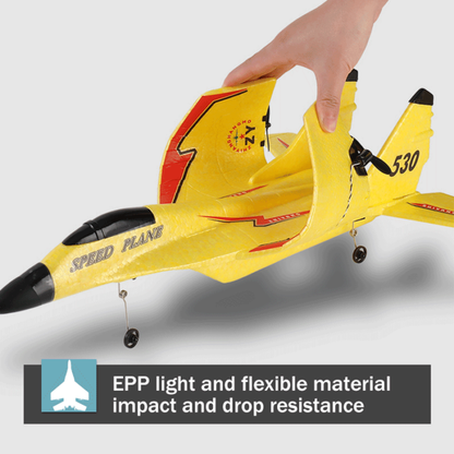 Remote Control Airplane Model