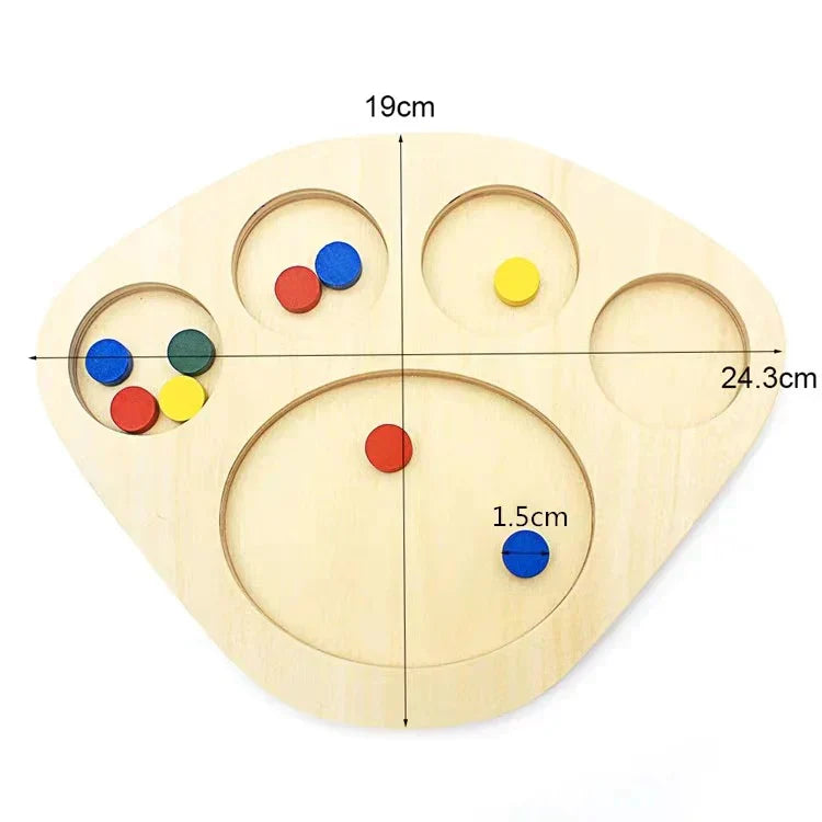 Fesara ColorSorter - Wooden Puzzle Toy