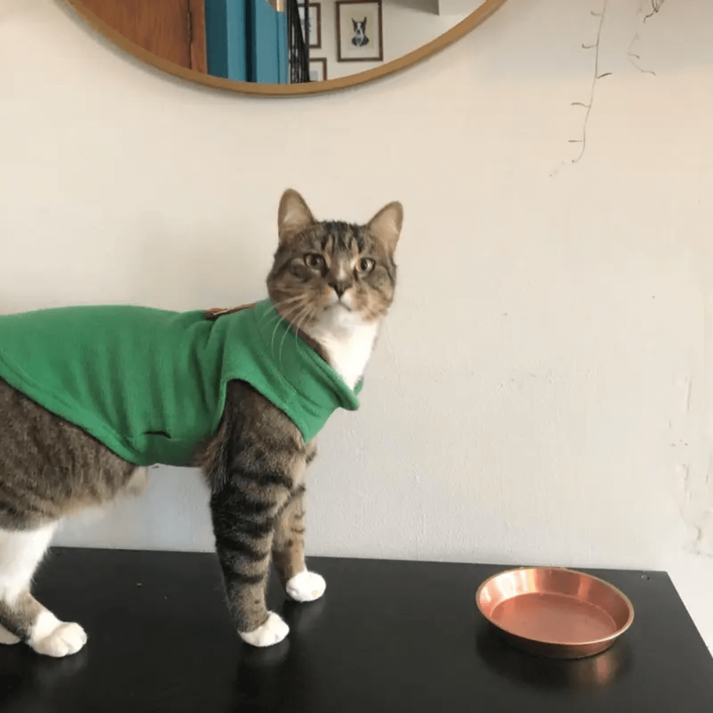 Soft Fuzzy Dog Jacket