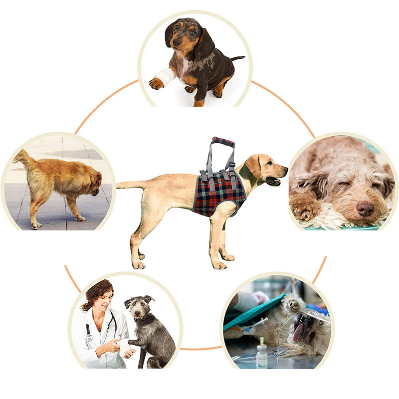 Comfortable Dog Support Harness for Back Legs
