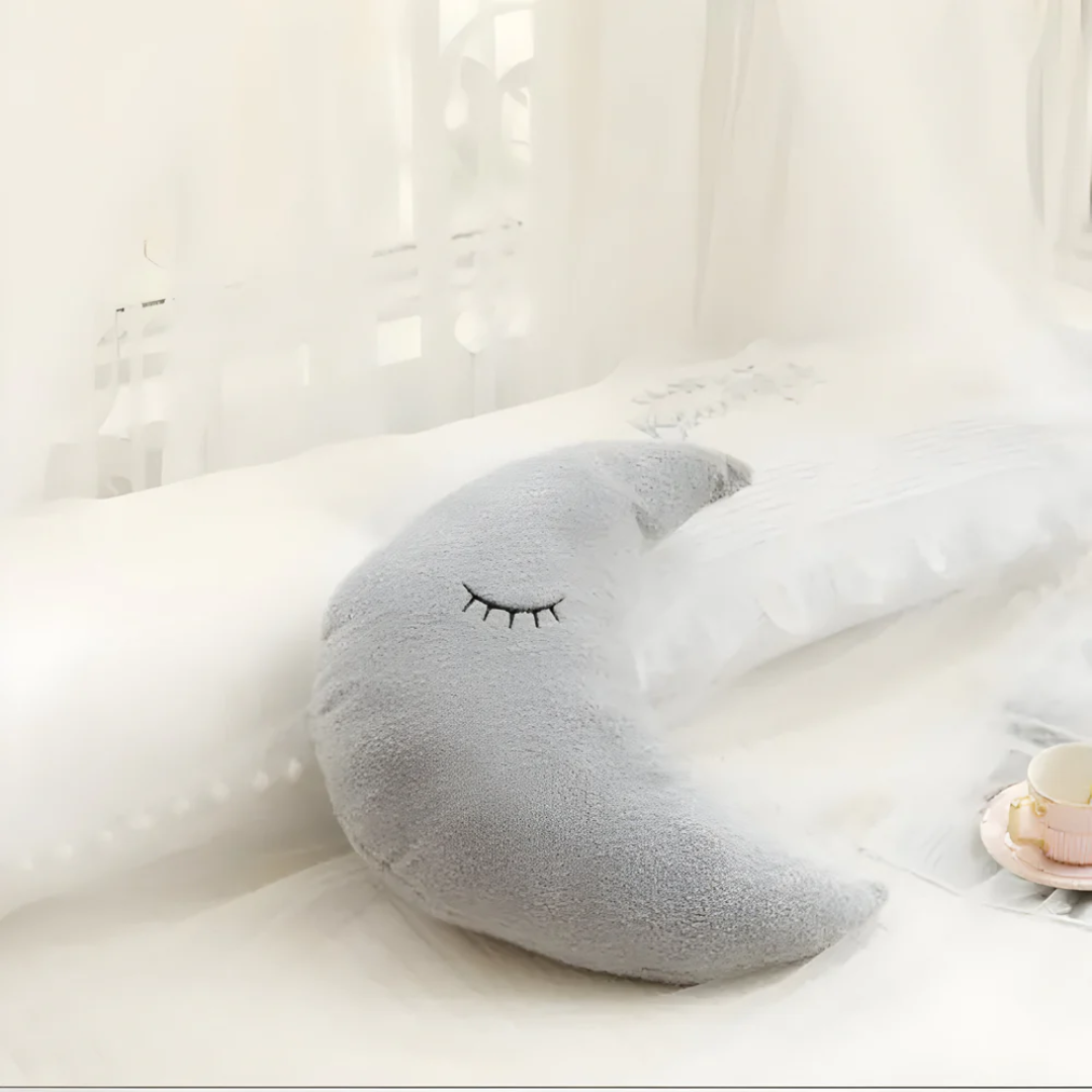 Soft Decorative Throw Pillow