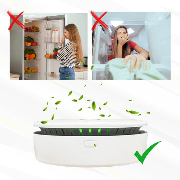 Compact Air Cleaner for Home and Pets