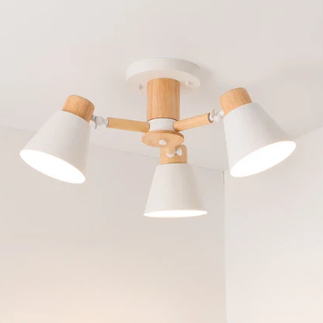 Bright LED Ceiling Light Fixture