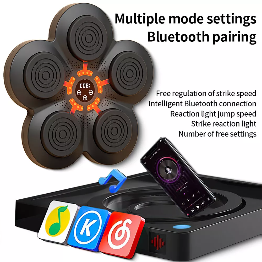 Fesara | Interactive Boxing Wall with Bluetooth Music & Lights